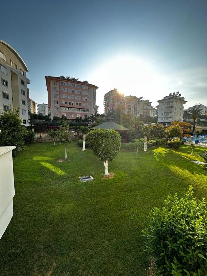 Orange-banana Garden * Alanya